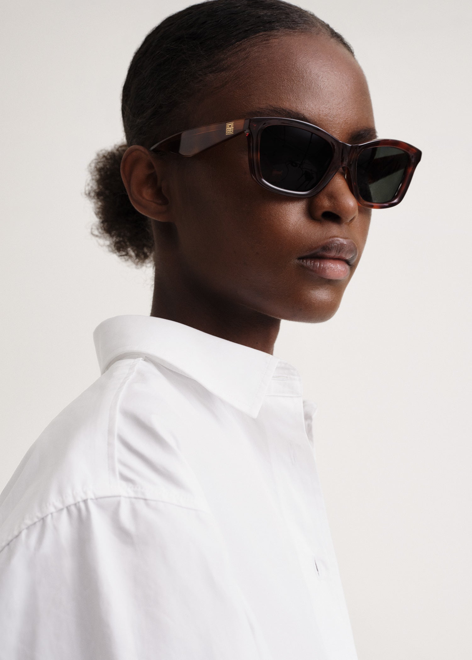 Classic sunglasses Havana